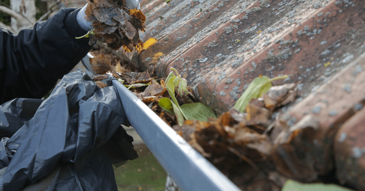 Hand cleaning leaves and dirt from guttering.